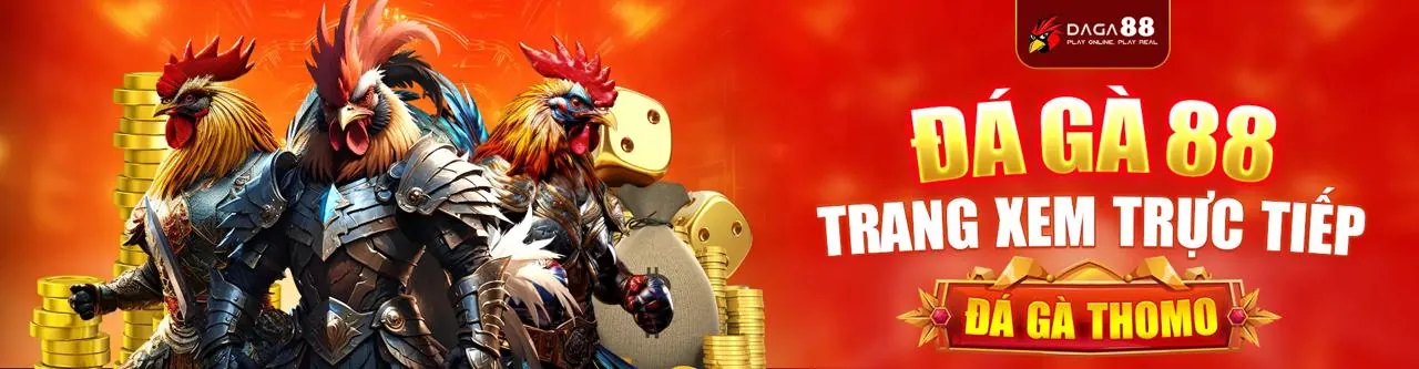 Đá gà trực tuyến 100win12 sôi động